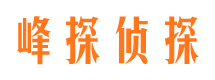 阜南市侦探调查公司